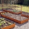 OEM Bottomless Corten Steel Planter Metal Raised Vegetable Beds