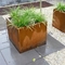 Outdoor Resistant Square Rusty Corten Steel Planter Boxes For Garden