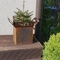 Natural Rusty Color Corten Steel Planter Pot With Drain Holes